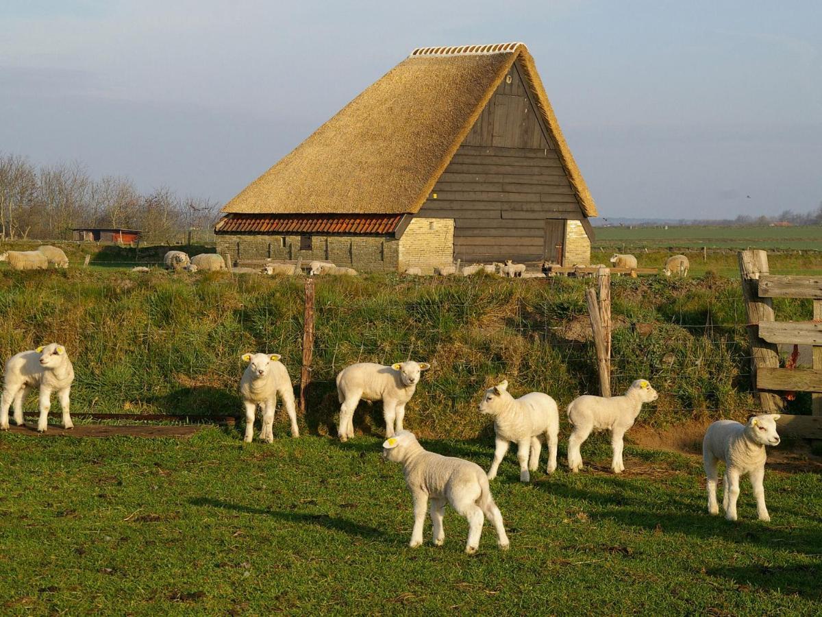 Fantastic Bungalow On Texel De Cocksdorp  Exteriér fotografie